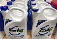 Monsanto, da Bayer, propõe acordo bilionário em ação coletiva de herbicida