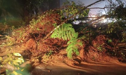 Defesa Civil faz alerta para acumulado de chuva no litoral de SP