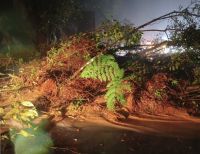 Litoral Norte: rodovias são interditadas em SP após deslizamentos