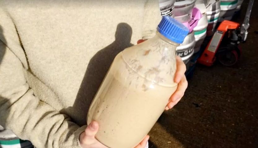 Resíduos de cerveja transformados em estruturas comestíveis para carne cultivada em laboratório • Reprodução