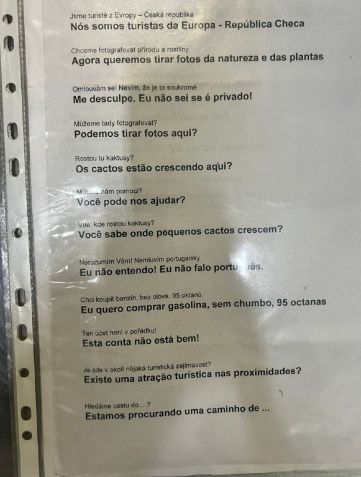 Roteiro com falas em português • Reprodução
