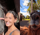 Ana Castela compartilha fotos dos animais da fazenda em que mora; veja