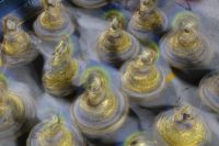 Carnaval 2026: veja a ordem da 1ª noite de desfiles da Série Ouro no RJ