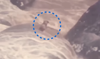 Cachorro cego e surdo é resgatado após ficar ilhado no RJ; veja vídeo