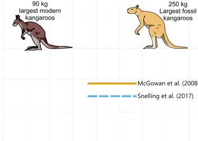 Estudo publicado recentemente mostra que cangurus gigantes que viveram na Austrália durante o Pleistoceno, há dezenas de milhares de anos • Scientific Reports