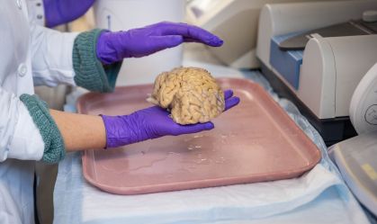 Cientistas descobrem a chave para manter a mente afiada na terceira idade