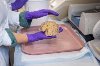 Cientistas descobrem a chave para manter a mente afiada na terceira idade