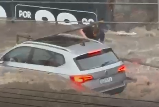• Reprodução