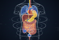 Cientistas desenvolvem exame que revela corpo humano em 3D e cores