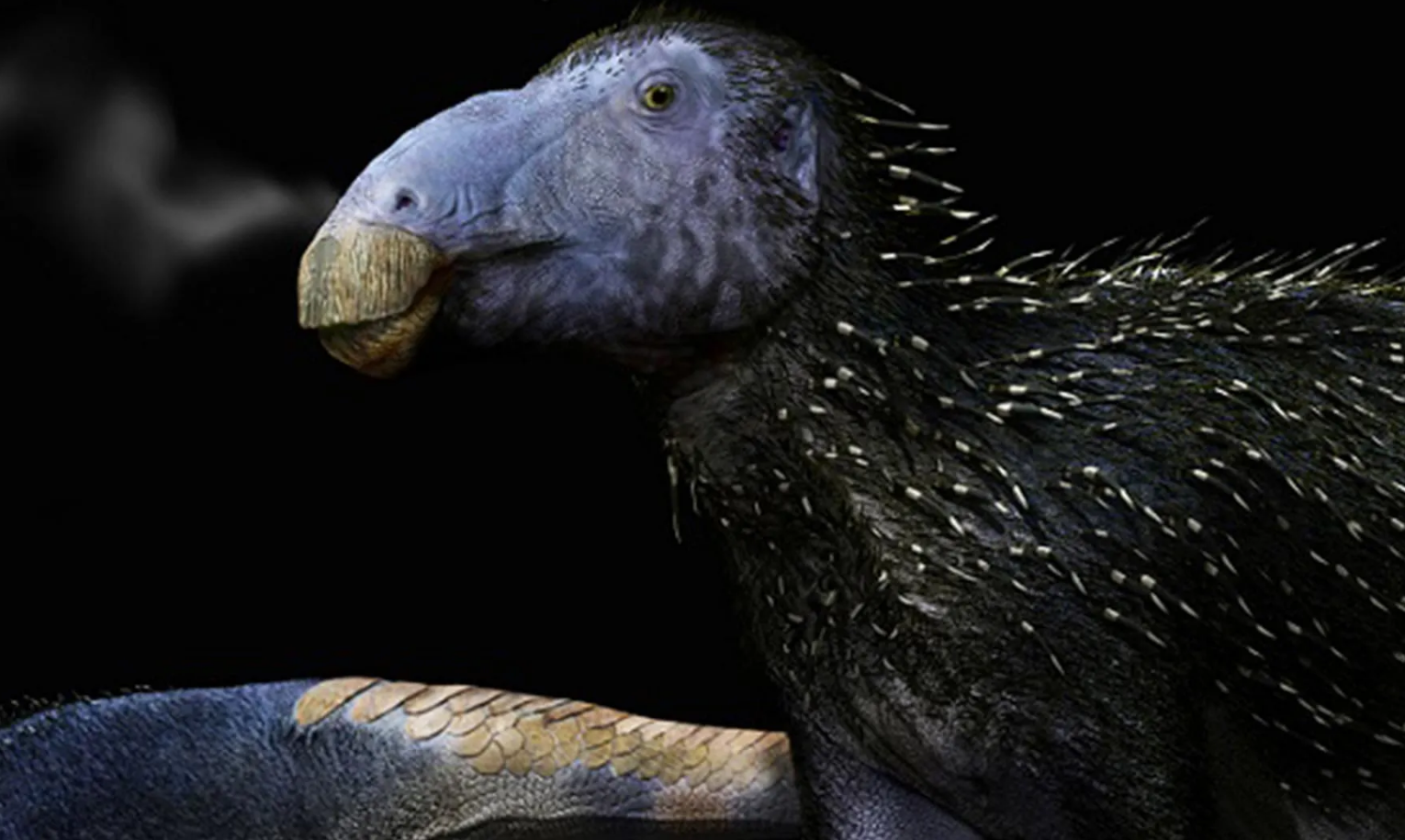 dinossauro-china