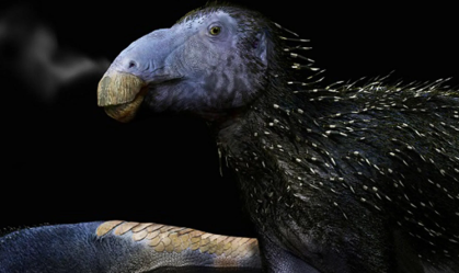 Dinossauro com espinhos ocos nunca antes visto é descoberto na China