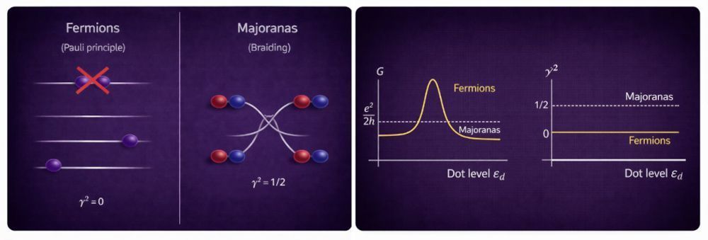 Figura 2: a) Ilustração do princípio de Pauli para férmions usuais: dois férmions não podem ocupar o mesmo estado quântico. Esse conceito de ocupação não existe para férmions de Majorana com energia zero em matéria condensada. Esses estados de Majorana apresentam uma característica fundamentalmente distinta dos férmions usuais: seus estados quânticos se entrelaçam de forma não trivial quando são trocados de posição, tornando a informação codificada nos mesmos imune às perturbações. b) Em contraste com os férmions usuais, que exibem uma condutância ressonante (pico), a condutância G para um modo de Majorana apresenta um platô que sinaliza o estado topológico com γ2 = ½ • Poliana Heiffig Penteado/ChatGPT