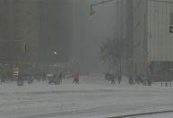 Clima extremo: Sobe número de mortos em NY e Flórida tem recorde de frio