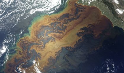 Shell oferece 16 vagas de estágio