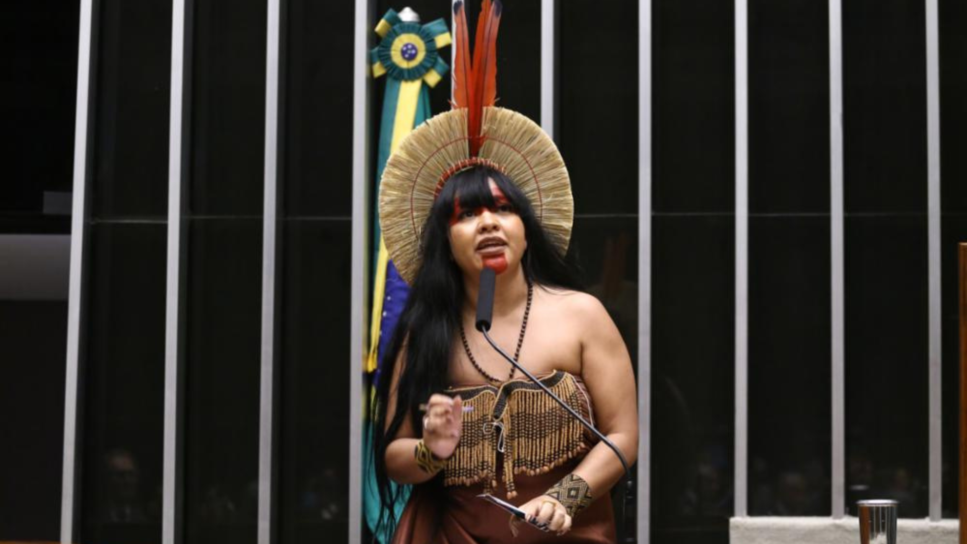 Dep. Célia Xakriabá
