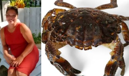 Por que comer o "caranguejo do diabo" pode ser fatal? Entenda