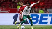 Palmeiras e Internacional se enfrentam em momentos opostos no Brasileiro