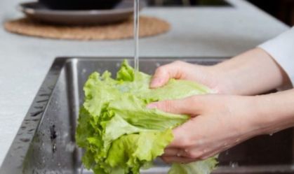 Falhas na higiene e manipulação de alimentos elevam risco de bactérias