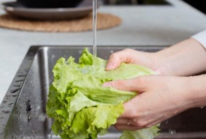 Falhas na higiene e manipulação de alimentos elevam risco de bactérias