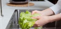 Falhas na higiene e manipulação de alimentos elevam risco de bactérias