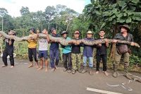 Filhote de macaco-prego com leucismo é descoberto no Ceará