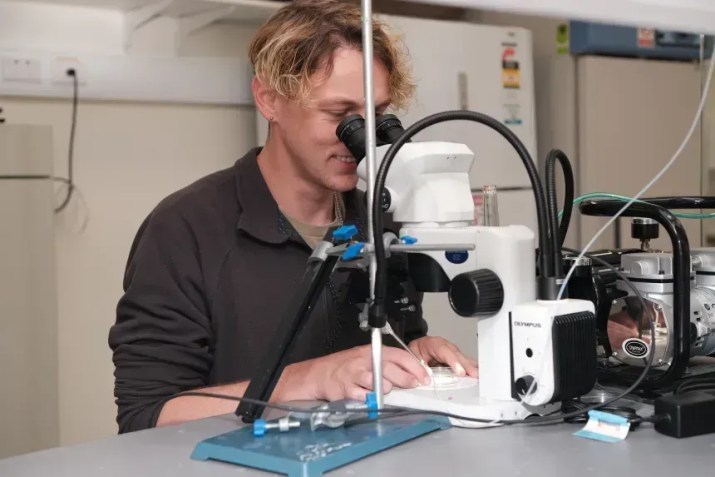 Waddle, na foto, acredita que as ferramentas clássicas de conservação por si só — incluindo suas próprias inovações — não serão suficientes para deter a crise de extinção dos anfíbios. "A cada ano, a taxa de extinção acelera", disse ele, acrescentando: "Precisamos fazer algo drástico se quisermos realmente fazer a diferença • Yorick Lambreghts
