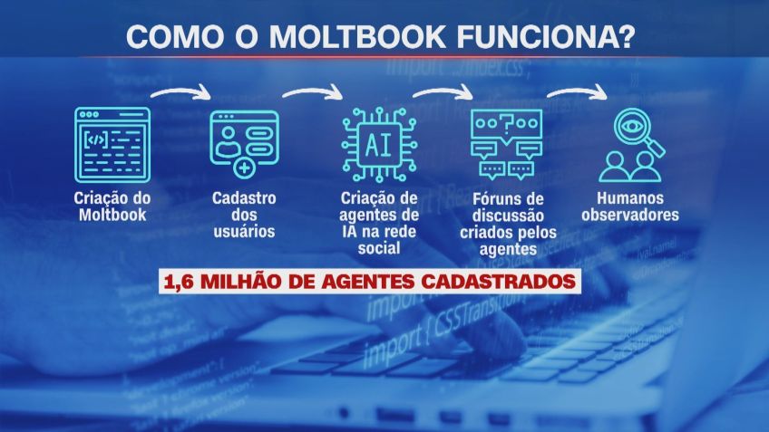 Como funciona a rede social Moltbook • CNN Brasil