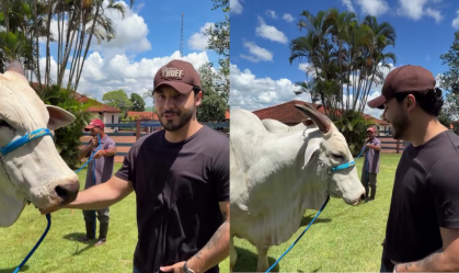 Murilo Huff se encontra pela 1ª vez com vaca de R$ 54 milhões que comprou