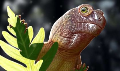 pararreptil
