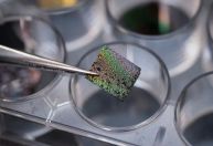 Estudante cria poeira cósmica artificial que pode explicar origem da vida