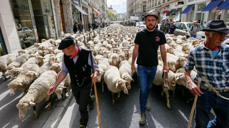 Protesto de agricultores em Lyon 9/10/2017