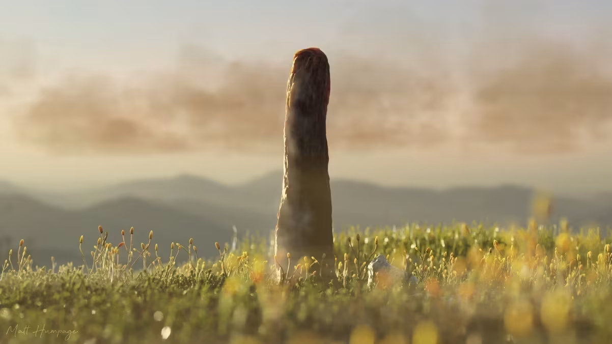 Maior forma de vida terrestre há 400 milhões de anos não tem explicação