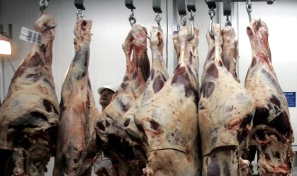 Exportação de carne bovina