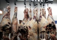 Coreia do Sul pode ser tornar novo destino da carne brasileira 
