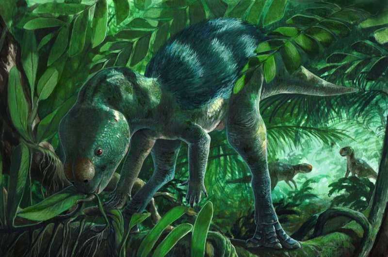 tiny-new-dinosaur-fosk