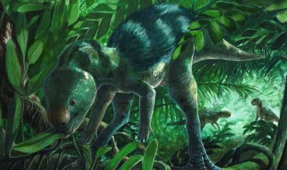 Mini dinossauro bípede e herbívoro desafia ideias tradicionais da evolução