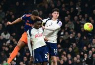 Tottenham perde para o Newcastle em casa e se aproxima do rebaixamento