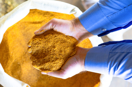 DDG coproduto do milho