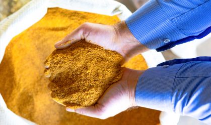 DDG reforça caixa e reduz risco no etanol de milho