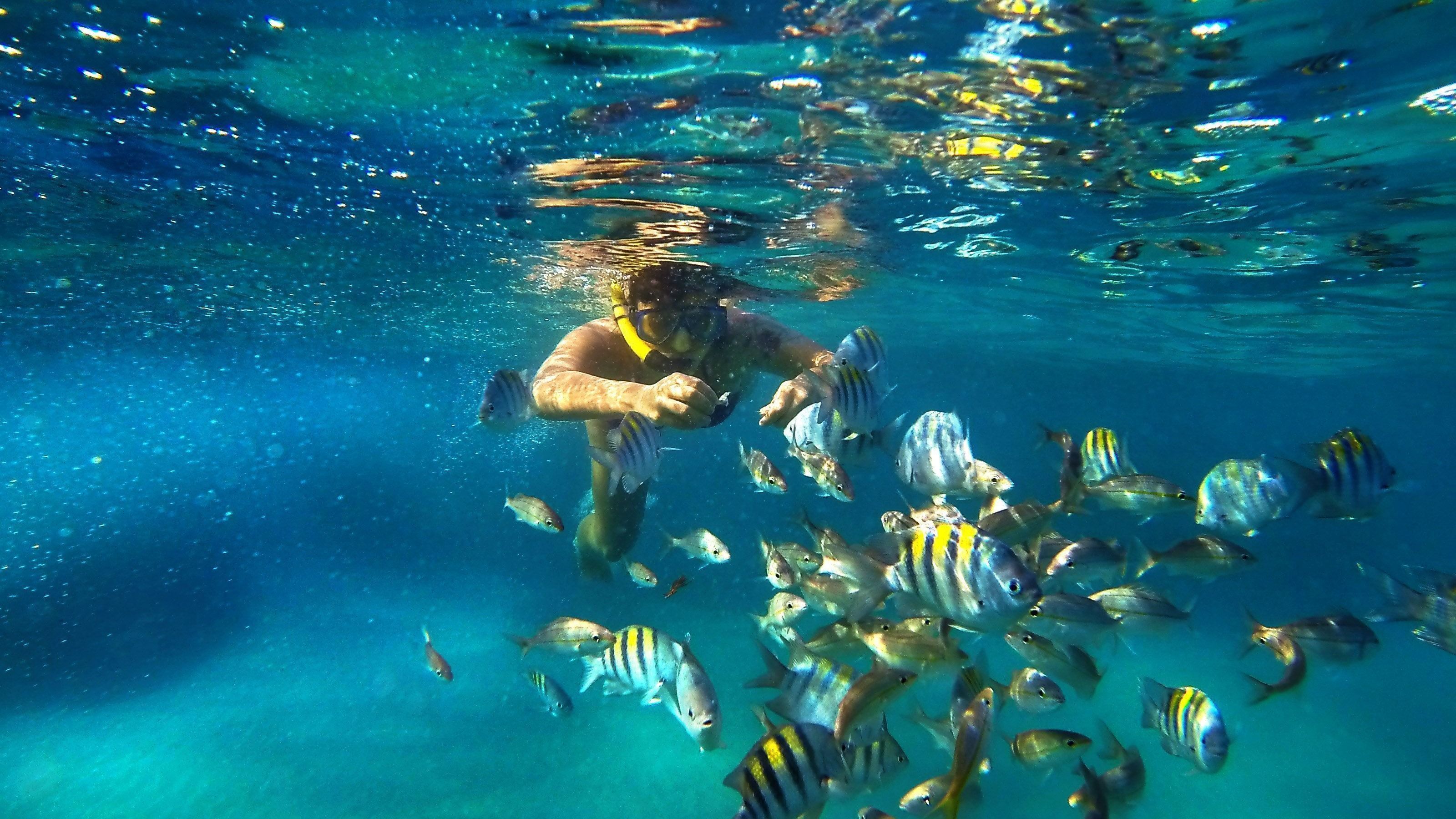 1-Parrachos-de-Maracajau