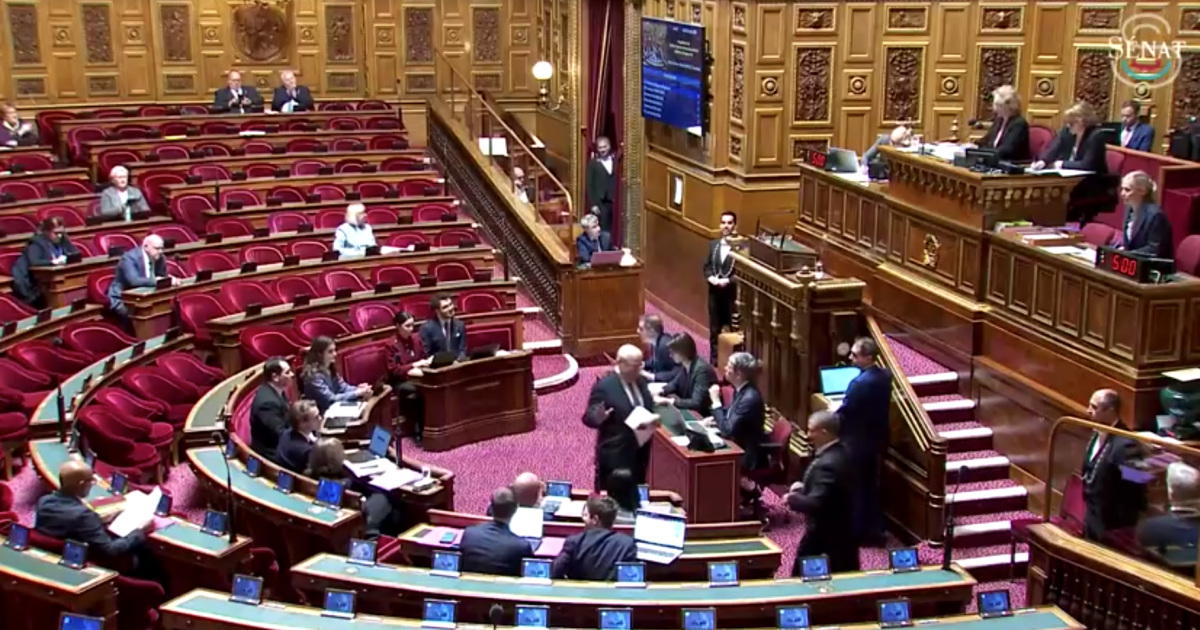 Senado francês aprova lei para proibir uso de redes para menores de 15 anos