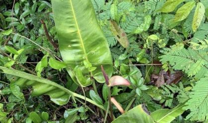 435beb05-959c-4e45-ab84-5b4d65d77bc4