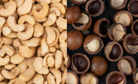 Brasil abre novo mercado para castanha e macadâmia