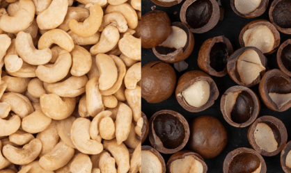 Brasil abre novo mercado para castanha e macadâmia