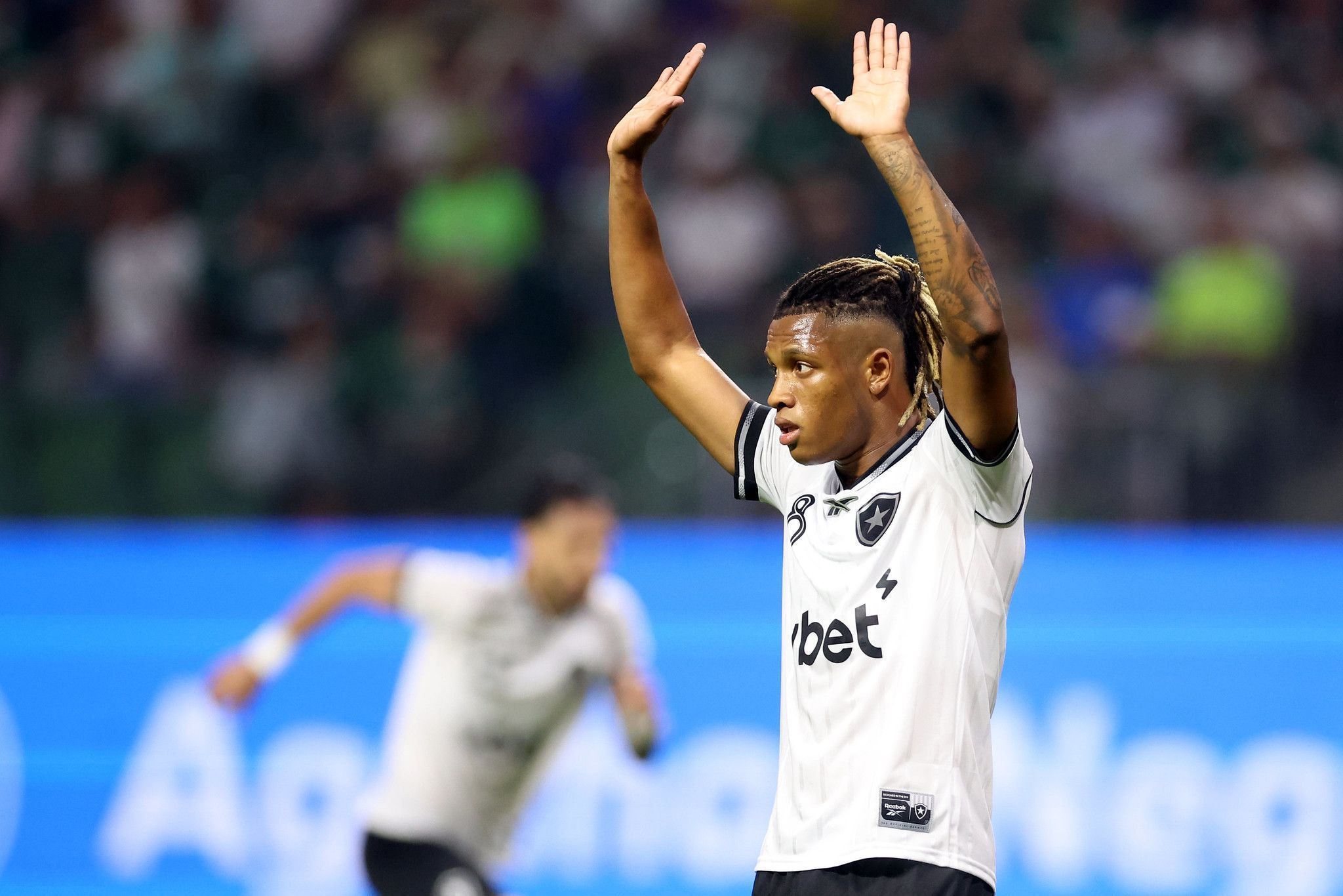 Palmeiras x Botafogo pelo Brasileirão