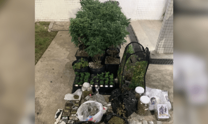 Todo o material apreendido foi encaminhado à Central de Flagrantes, onde a ocorrência foi registrada