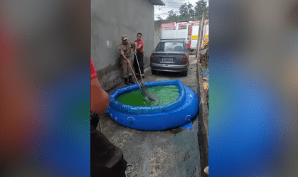 Jacaré é encontrado em piscina no Amazonas