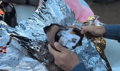 CANETAS EMAGRECEDORAS OVO