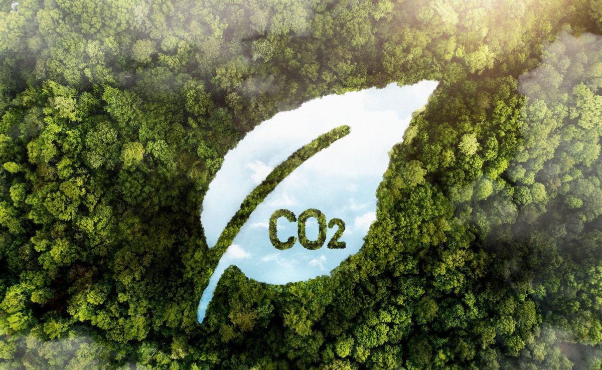 Não haverá net-zero sem captura de carbono