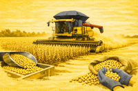 Colheita de soja reforça expectativa de safra recorde em 25/26